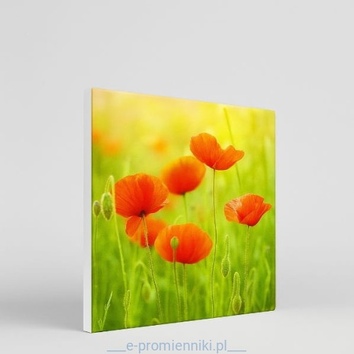 PLANO IR 350W Art panel grzewczy na podczerwień (ścienno-sufitowy), grzejnik promiennikowy, foto druk - ASKELL